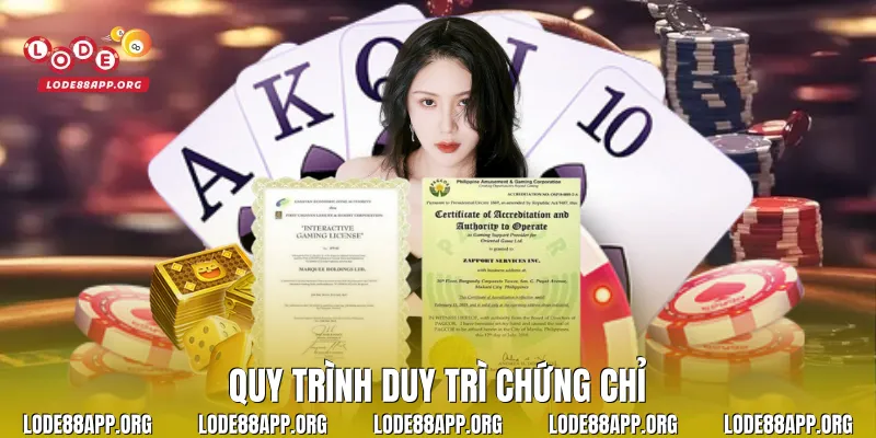 Quy trình duy trì chứng chỉ